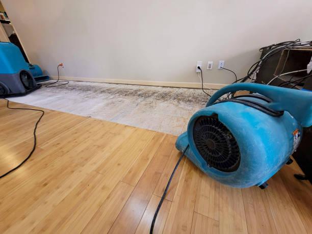 Professional Flood Damage Cleanup technician working in Douglas, AZ